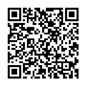 居然还有凶悍如斯的家伙躲在坦克里面终于能把坦克发动起来二维码生成
