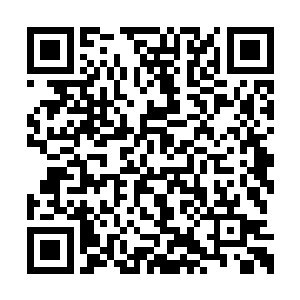 居然还用自己爪子上的肉垫在这一块轻轻揉了揉二维码生成