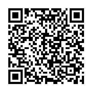 居然还真的听到了巡逻队的人在码头区抓住了一些邪二维码生成