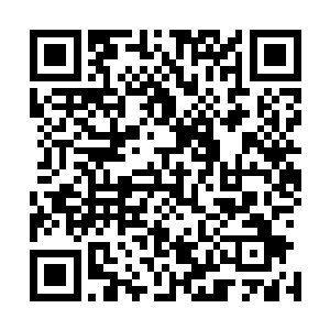 居然连如此强烈的时空之力束缚都无法将它彻底的静止下来二维码生成