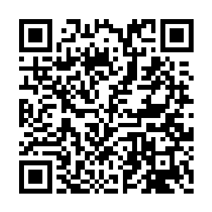 居然连杜家拍卖行的千金大小姐杜蓉蓉都不识得二维码生成