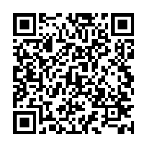 居然连梁敏春多年积累下来的王府弊病也没有祛除二维码生成