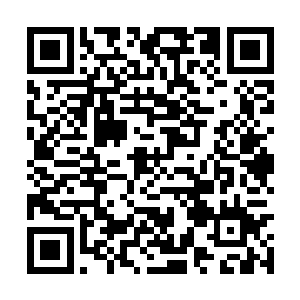 居然连青牛真人洞府的通行令牌是怎么用的都知道二维码生成