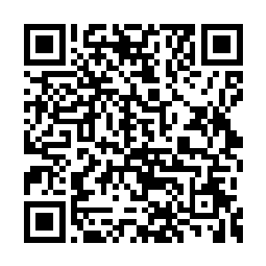 居然都是强化自己的身体应对伤害和打击能力的二维码生成