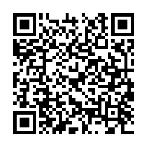 屈辱和痛心的眼泪就再度爬满了唐翩跹苍白的脸颊二维码生成