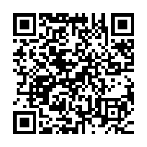 届时杜家的大小姐杜蓉蓉和四十八家拍卖所总管杜傲天都会露面二维码生成