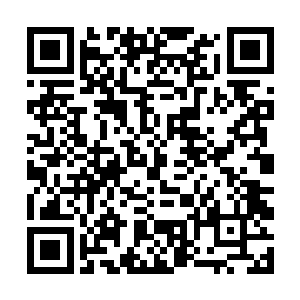 屋子里的温度也因为这个绵长温柔的吻而升高了不少二维码生成