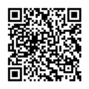 屋子里面的修士见到从门外呼啦啦地涌进一批人二维码生成