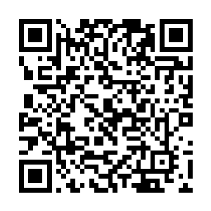 屋里守着小儿子养神的刘荷花心里立刻就咯噔了一下二维码生成