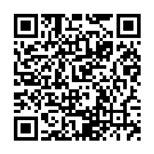 屋里的缭乱程度让晏晨差点以为自己进错了房间二维码生成