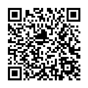 屋顶上的猴子不自觉地伸长了脖子俯视院落中挤满的人二维码生成