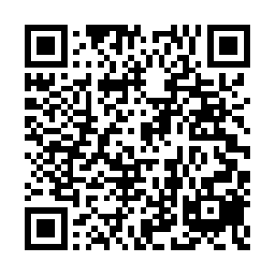 屏幕上出现的是一张画满各种公式和数据的照片二维码生成