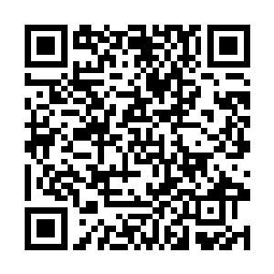 屏幕上显示的资料正是那个叫做汉斯的俄罗斯壮汉的二维码生成