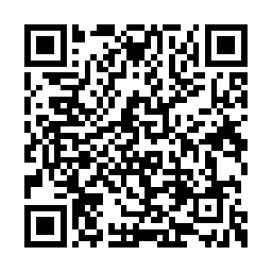 屏幕立刻变成了无数数据如同瀑布一样流泻下来二维码生成