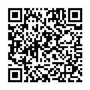 展开了他出任龙腾派掌门以来的第一次和平外交之旅二维码生成