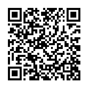 展架上又多了一条和他手上看起来一模一样的金腰带二维码生成