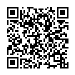 展示出居然可以用虫群布置跟太极八卦图类似的八卦虫阵后二维码生成