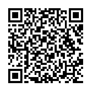 属下奉了段飞鸿大人的命令进入风雷界寻找风雷之心二维码生成