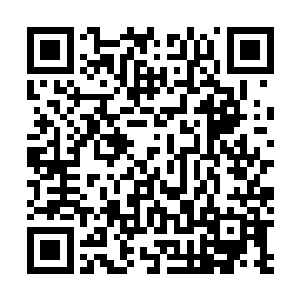 属下已经按照团长大人的吩咐炼制了一批光明神丹的丹壳二维码生成