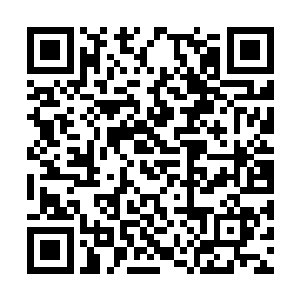 属于元法老祖那充满挑衅和讽刺的声音不停的传出二维码生成