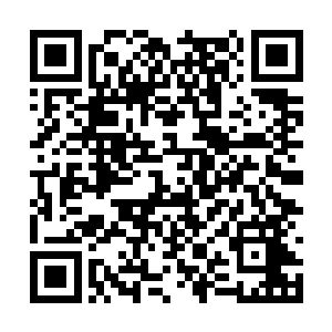 属于李断月的剑丸嗡嗤的朝着天空上的封界环飞去二维码生成