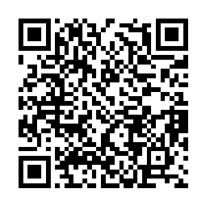 属于老圣主的那件圣级上品秘宝杨开同样也在炼化二维码生成