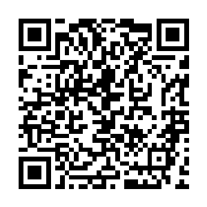 属于莫崎的那一角神魂碎片却是缓缓恢复平静而再没有了反应二维码生成