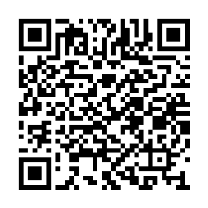 屠城灭杀百万人对他们而言如踩死一些蚂蚁一样二维码生成