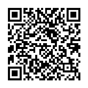 山一行人竟然只用了二十多分钟就肃清了竹林中的敌人二维码生成
