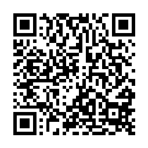 山上的动物活动得也就更加频繁一些――捡了一下午粪二维码生成