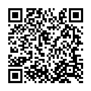 山下征用的农田区甚至传来一片青蛙的咕呱求偶声二维码生成