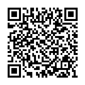 山努亚的智能水平可不会停留在人类的三四十岁二维码生成