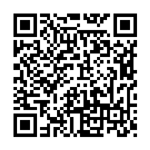 山坡上的一个小树林里忽然传出乒乒乓乓的枪声二维码生成
