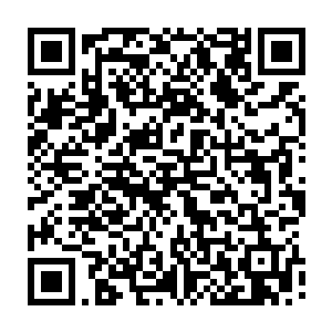 山姆看到龙傲天竟然跟他自己一样都后退了两步心中的惊讶就可想而知了二维码生成