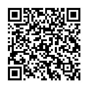 山林里的凶兽们找到机会就会袭击其他种族的幼崽二维码生成