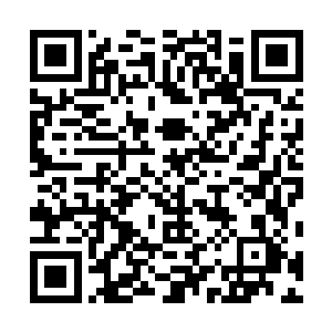 山洞里面有一个虚王一层境的武者正在看守着……看样子二维码生成