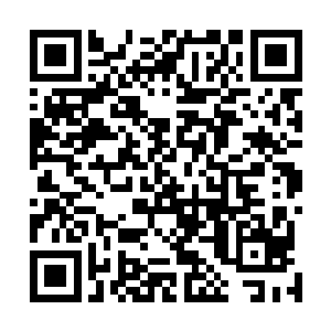 山脉方圆十几万里的虚空里弥漫着让人不详的阴冷与污秽二维码生成
