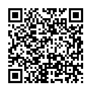 山脚下的小溪已经从涓涓的细流汇集成了一条小河二维码生成