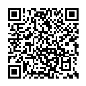 山苗的人经常会过来扔一些牛羊之类的东西下来二维码生成