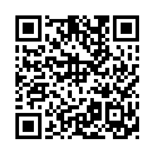 山谷内妖兽的吼声很明显比刚才暴躁多了二维码生成