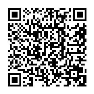 山谷秘地中传来了冰龙的咆哮声……那摄人的寒气也是透过了秘地的谷口二维码生成