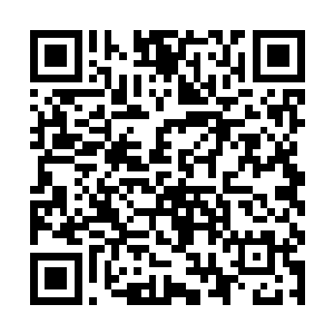 岁数相仿辈分相当的钟洪武和何仲忽在内的春秋老将二维码生成