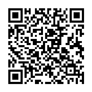 岂不是也等于送给萍姨和姥姥各人一串定情信物了二维码生成