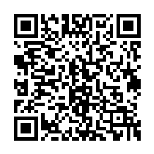 岂不是在越级挑战方面也更胜阴阳公子一个档次二维码生成