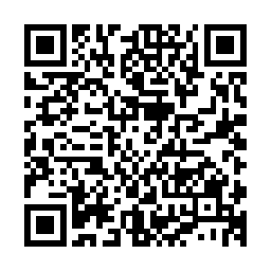 岂不是就他们墨家人知道苏落的血液有活死人肉白骨的功效了二维码生成
