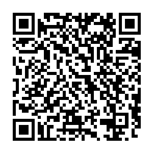 岂不是意味着我得独自面对那个中二病和一个未知的强大敌人了吗……二维码生成