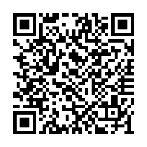 岂不是说他夏仙王怕了他们道行天尊和黄龙真人二维码生成