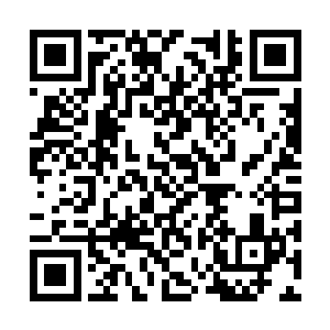 岂不是说此人已经在天书陵里观碑至少十几年时间二维码生成