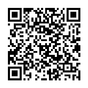 岂不是遇到渡劫期的也有办法逃命甚至与之一战了二维码生成