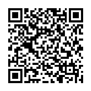 岂不正是为了给他护法而逗留在此的么……这个人二维码生成